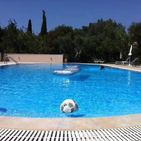 Royalrose * Paleokasztríca